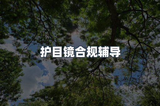 护目镜合规辅导